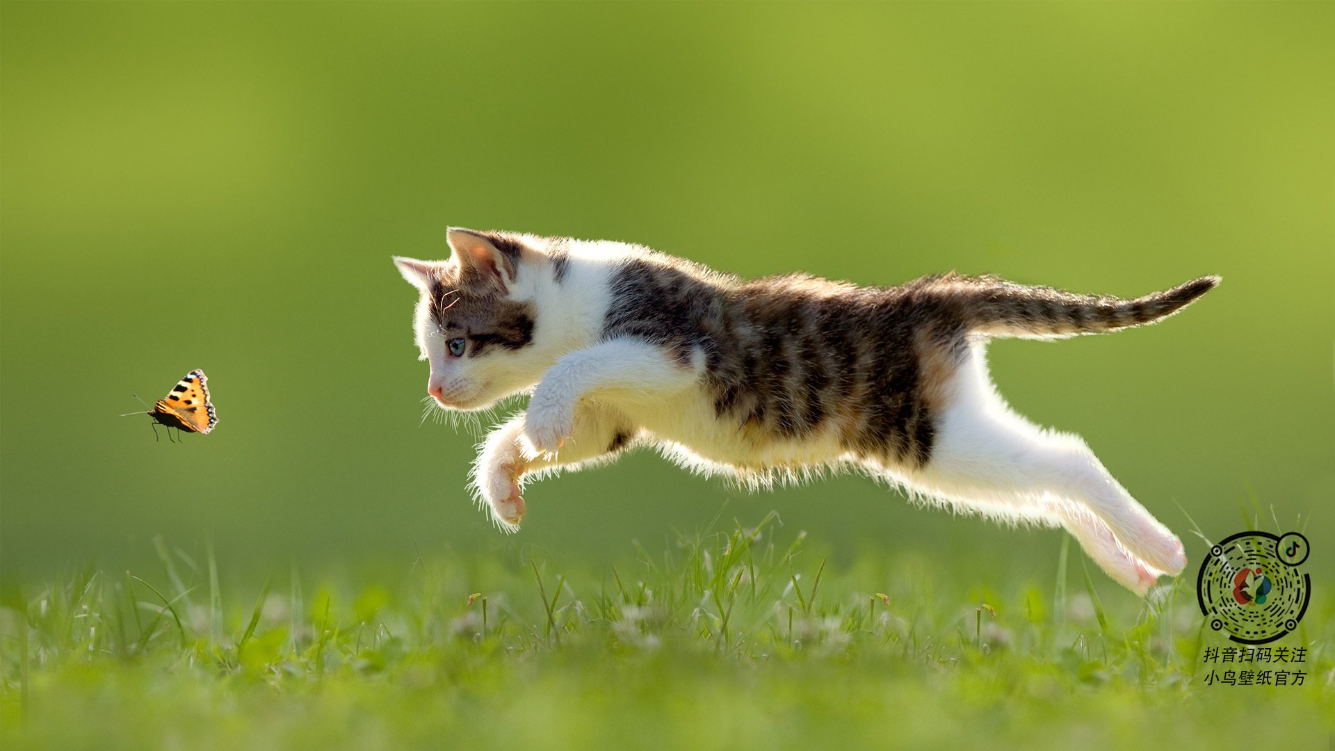 日本反曲弓男队在泛美锦标赛中夺冠，反曲弓世界纪录