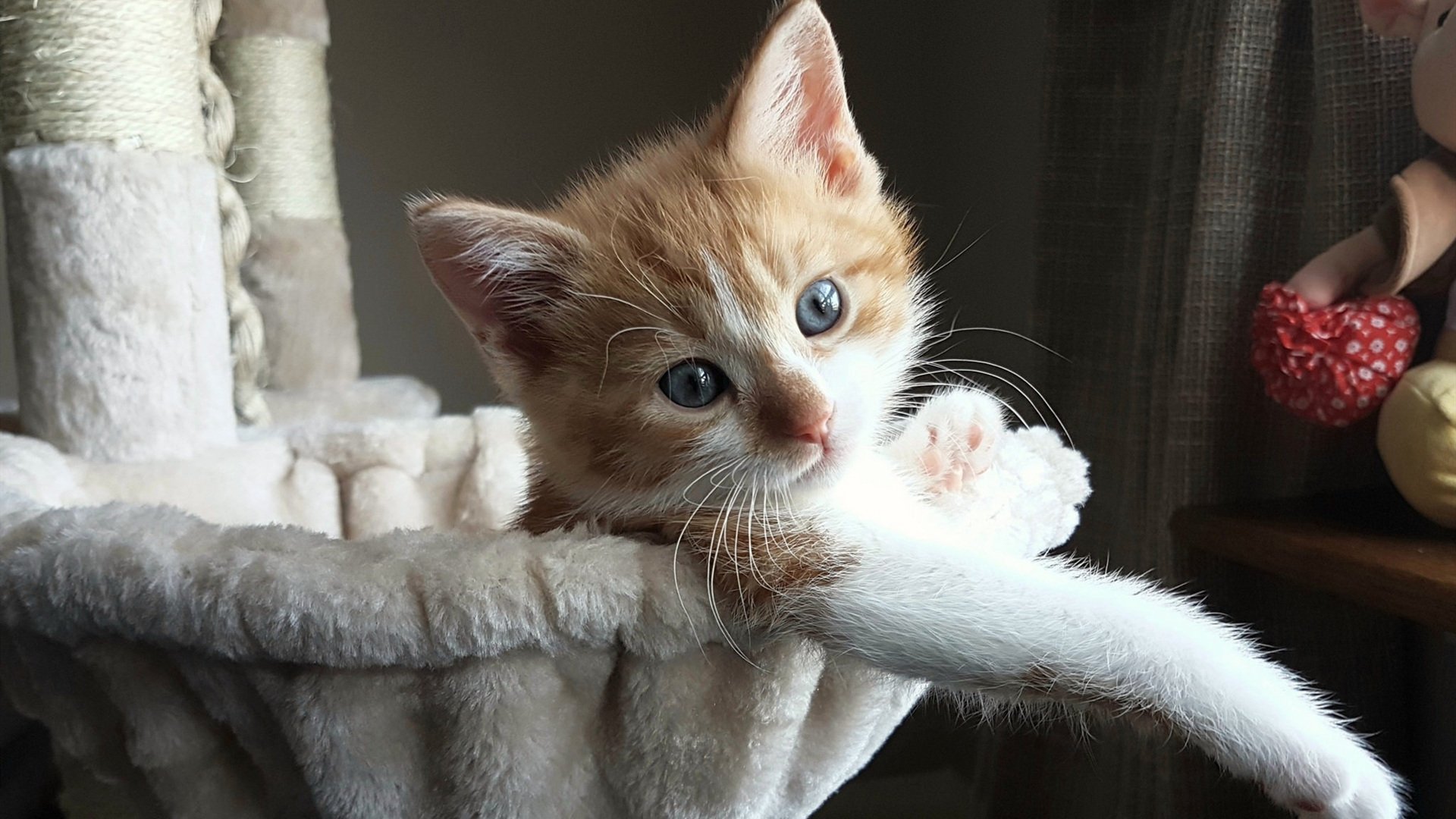 九游网-比赛期间，运动员情绪管理成焦点，运动员比赛行为控制和情绪控制的主要特点和要求