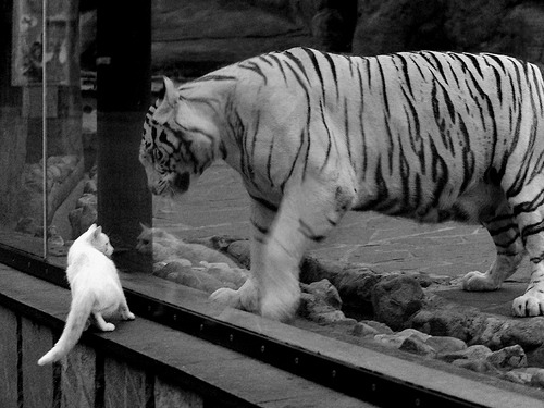 九游网页版官网-电子竞技与传统体育的融合方向展望，电子竞技运动对传统体育的两大价值