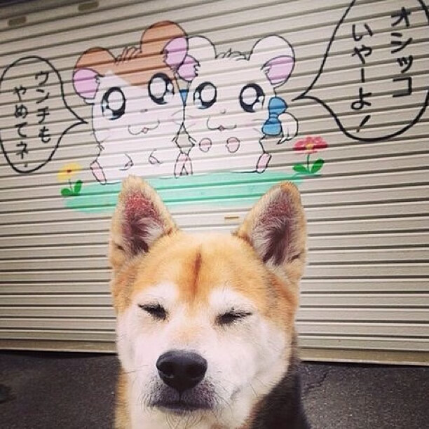 Jiuyou-英雄联盟 新秀选手表现引关注，联盟新秀排行