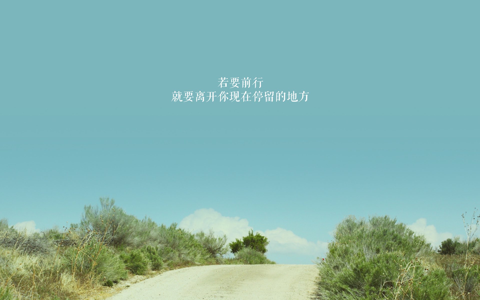 英雄联盟 新秀选手表现引关注，联盟新秀排行