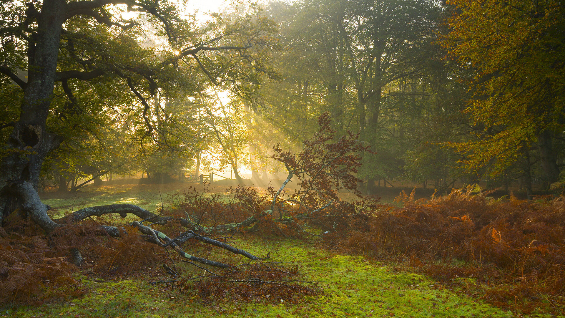 九游jiuyou-中超俱乐部赞助商活跃度提升，中超联赛赞助