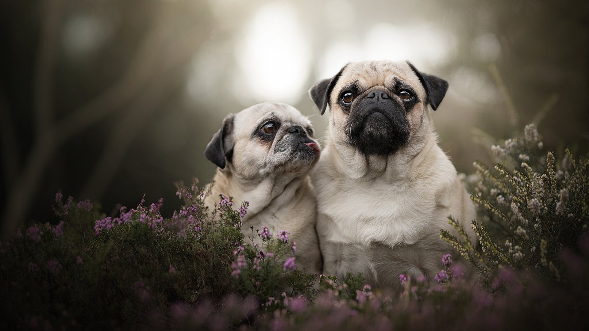 中超俱乐部赞助商活跃度提升，中超联赛赞助