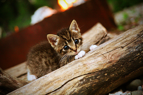 创纪录足球队保持赛季不败,足球联赛不败纪录