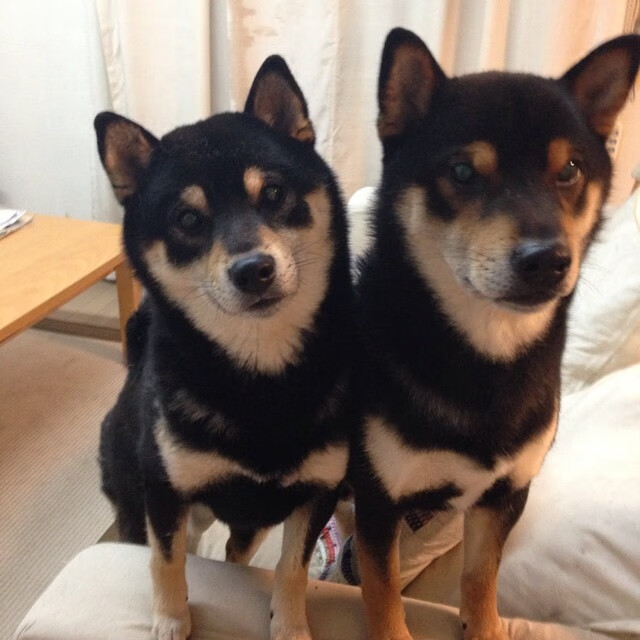 意甲豪门引进乌拉圭新秀,投资青年才俊,乌拉圭队门将