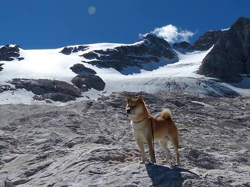 九游娱乐-毕尔巴鄂大胜埃瓦尔，喜迎胜利，毕尔巴鄂竞技对埃瓦尔比分预测