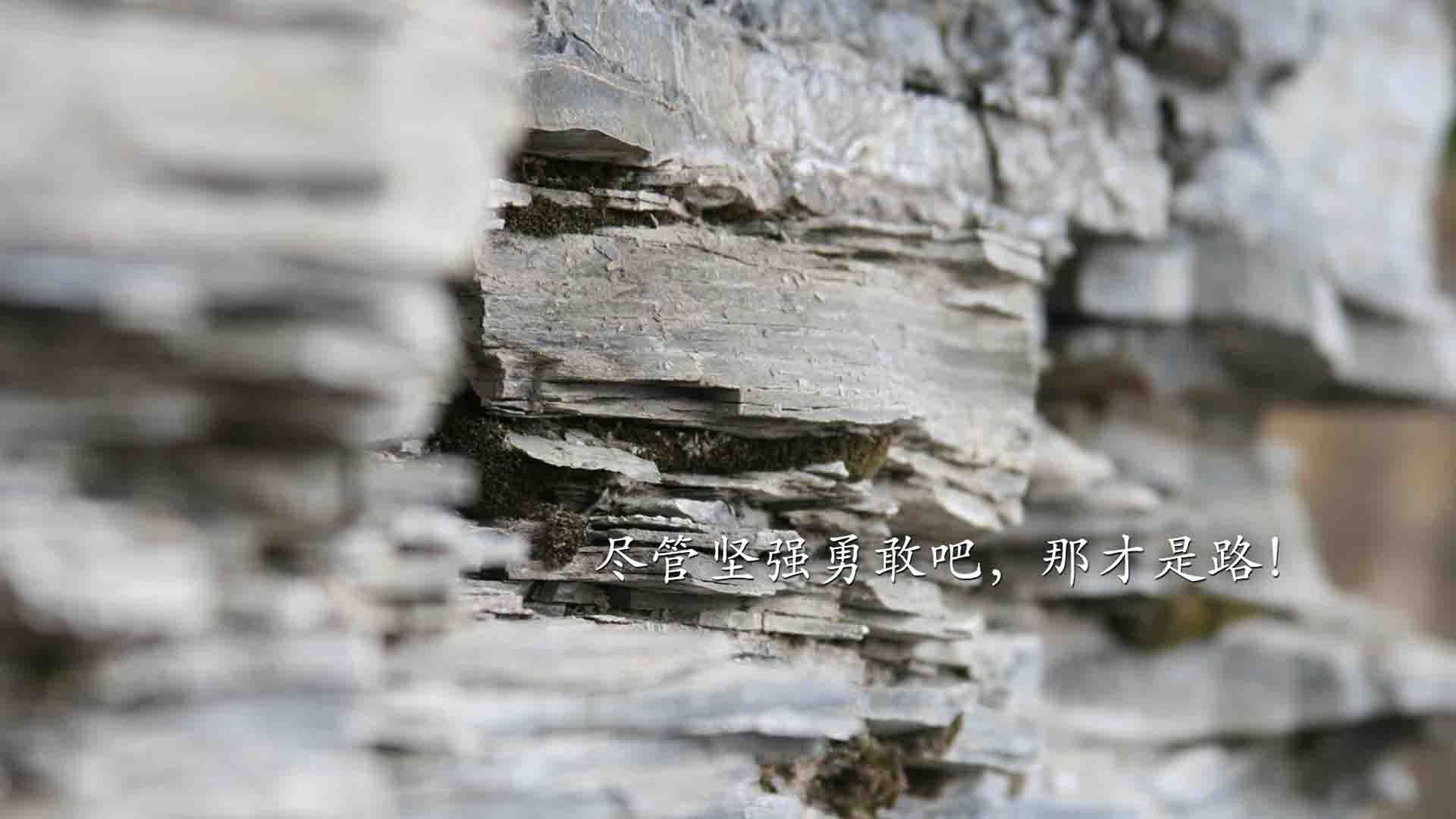 九游游戏中心官网-精彩强强对阵，人气爆棚现场热烈！，强强对决下一句