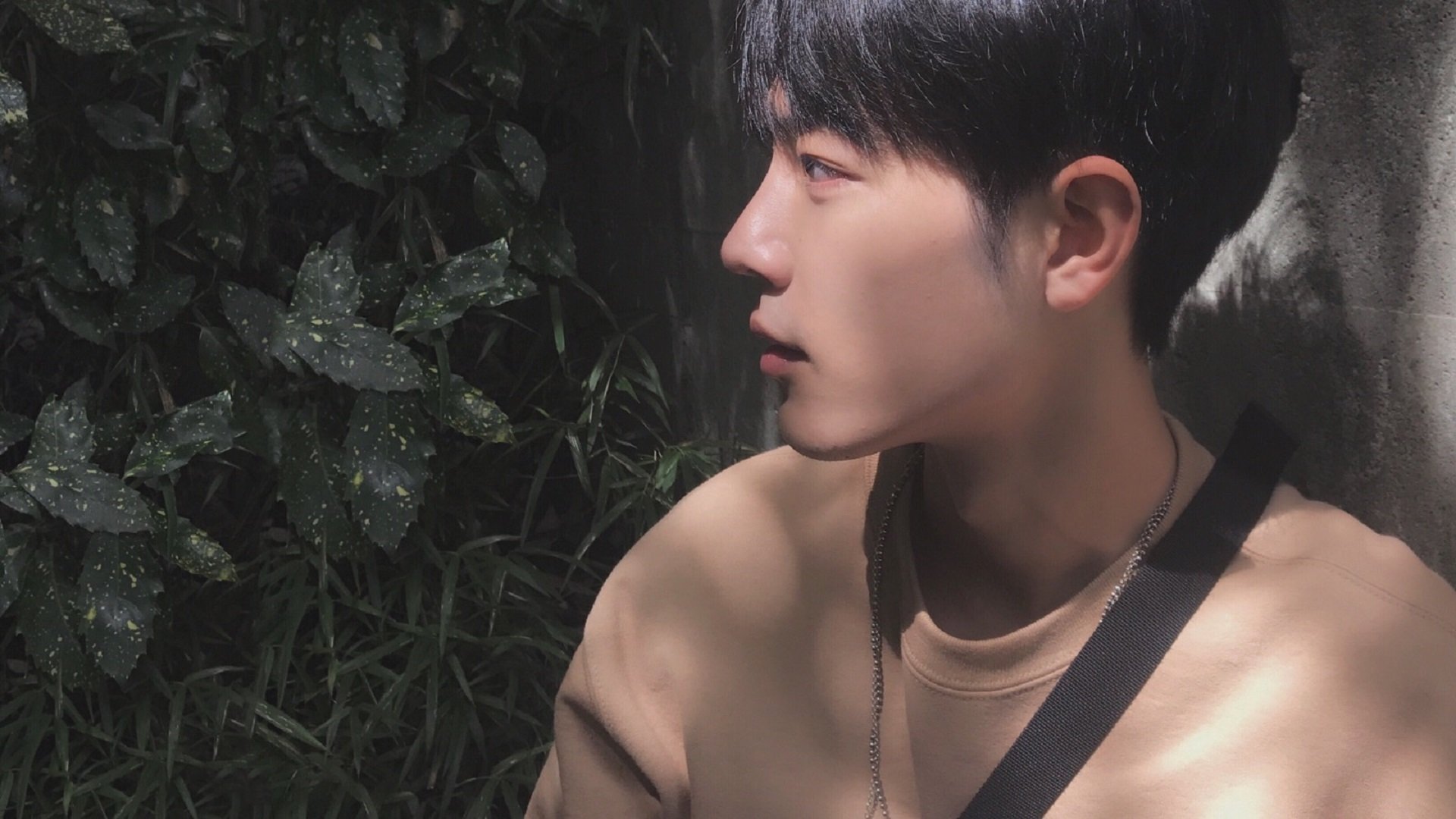 九游游戏中心-维达德卡萨布兰卡签约新主帅，球队迎来新气象，达维德卡拉布里亚