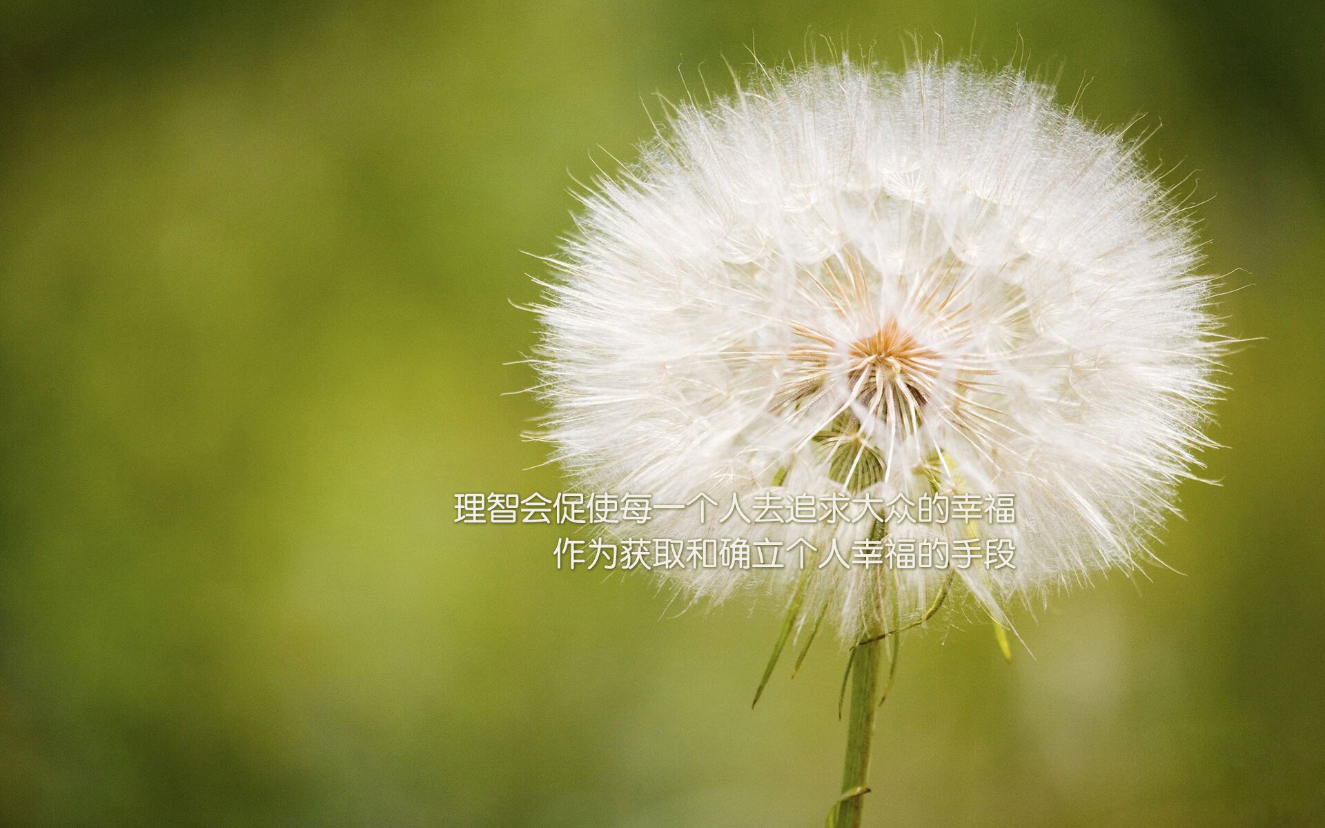 九游游戏中心官网-西班牙奥运队展现技术流魅力，西班牙奥运出场排名