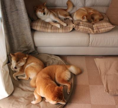 Jiu You-阿尔阿赫利防守压迫增强，艾尔阿赫利