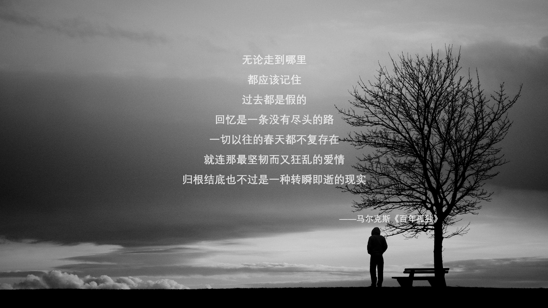 世界体育舞蹈大奖赛中国队再创佳绩,世界体育舞蹈比赛