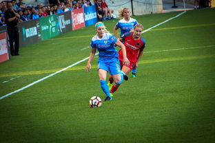 九游下载中心-中国篮球职业联赛俱乐部财务风险管理，篮球俱乐部财务制度