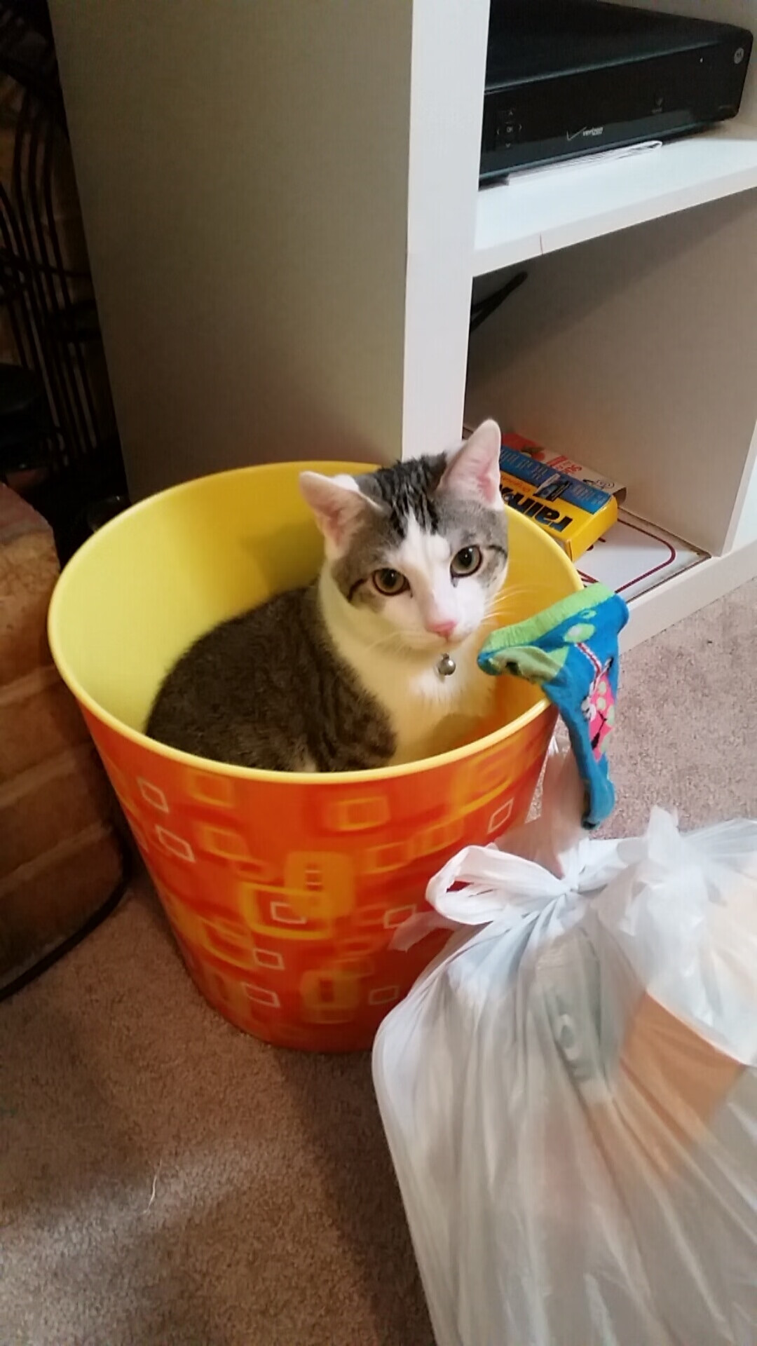 九游网-体育产业政策优化建议，优化体育产业结构