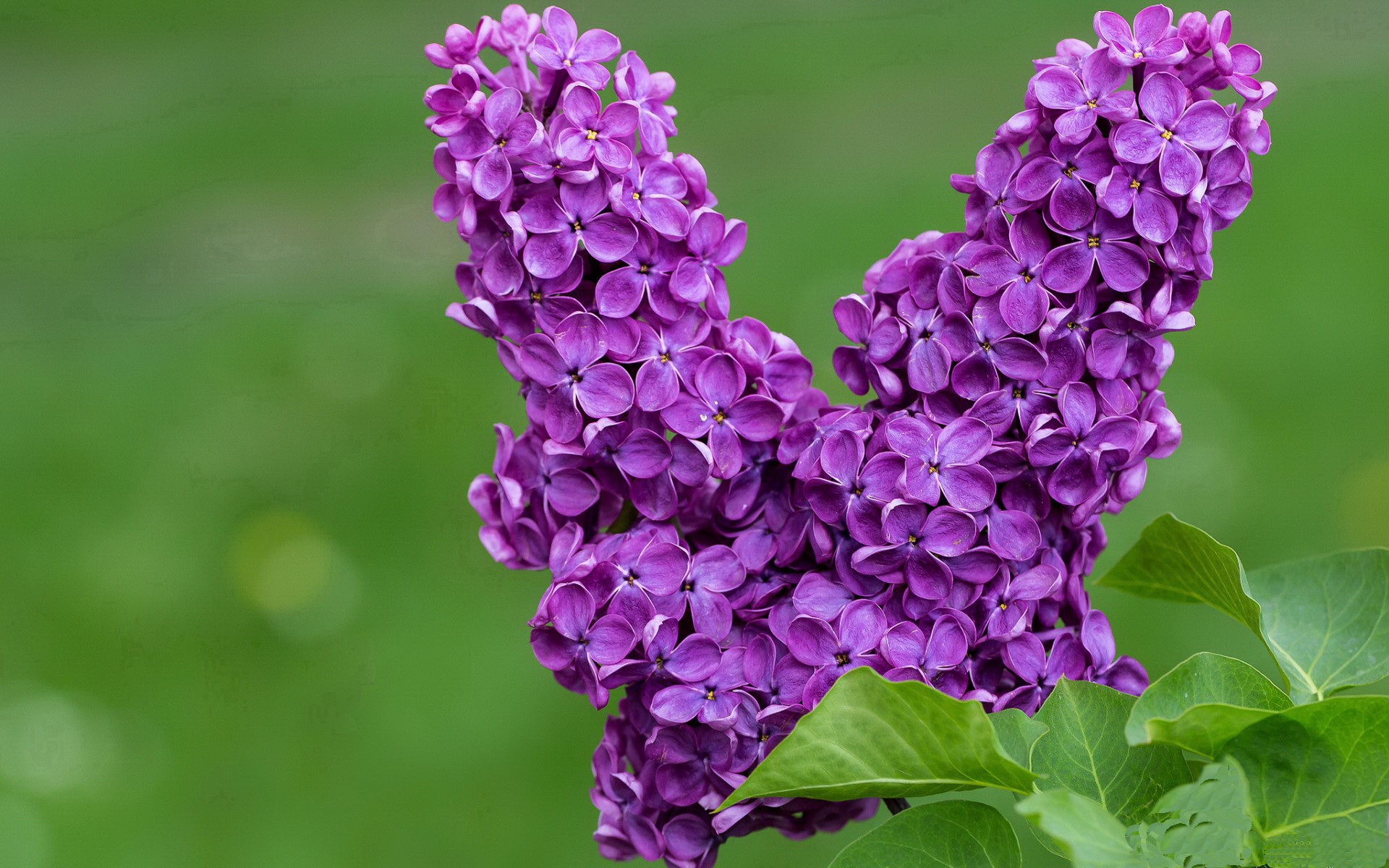 全国青少年击剑大奖赛激烈比拼，青少年击剑比赛规则