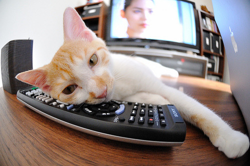 九游官网pc-国际热身赛中国队夺冠 技术打法备受称赞，国际热身赛赛程