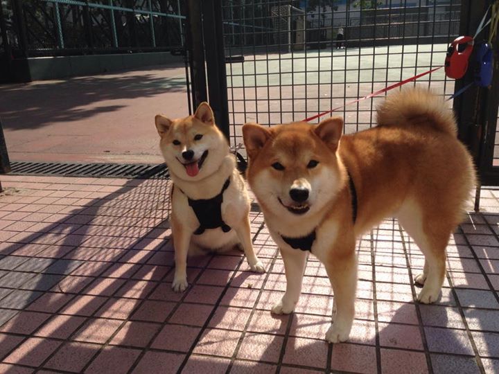 九游娱乐官网 (jiuyou)-女子4×100自接力队伍默契初成，女子接力选手