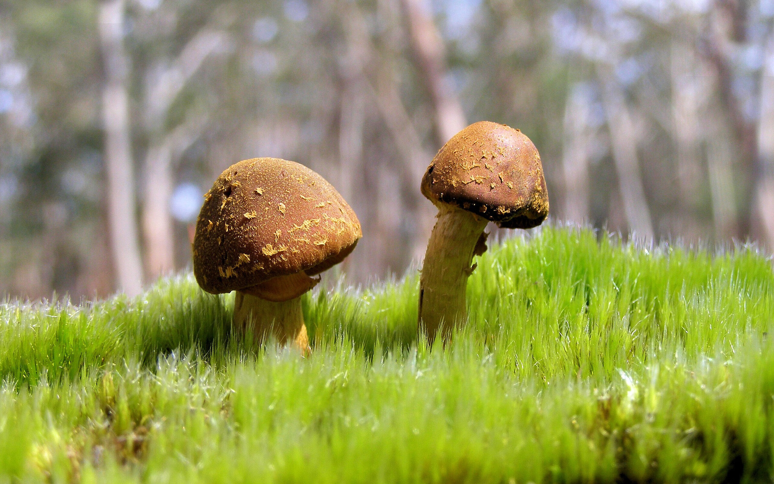 九游娱乐官网 (JIUYOU)-新疆男篮全面提升投篮命中率增强稳定性，新疆男篮怎么样