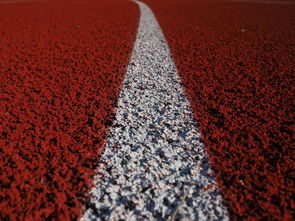 九游登录中心-田径项目专项训练成效显著，田径专项体能训练