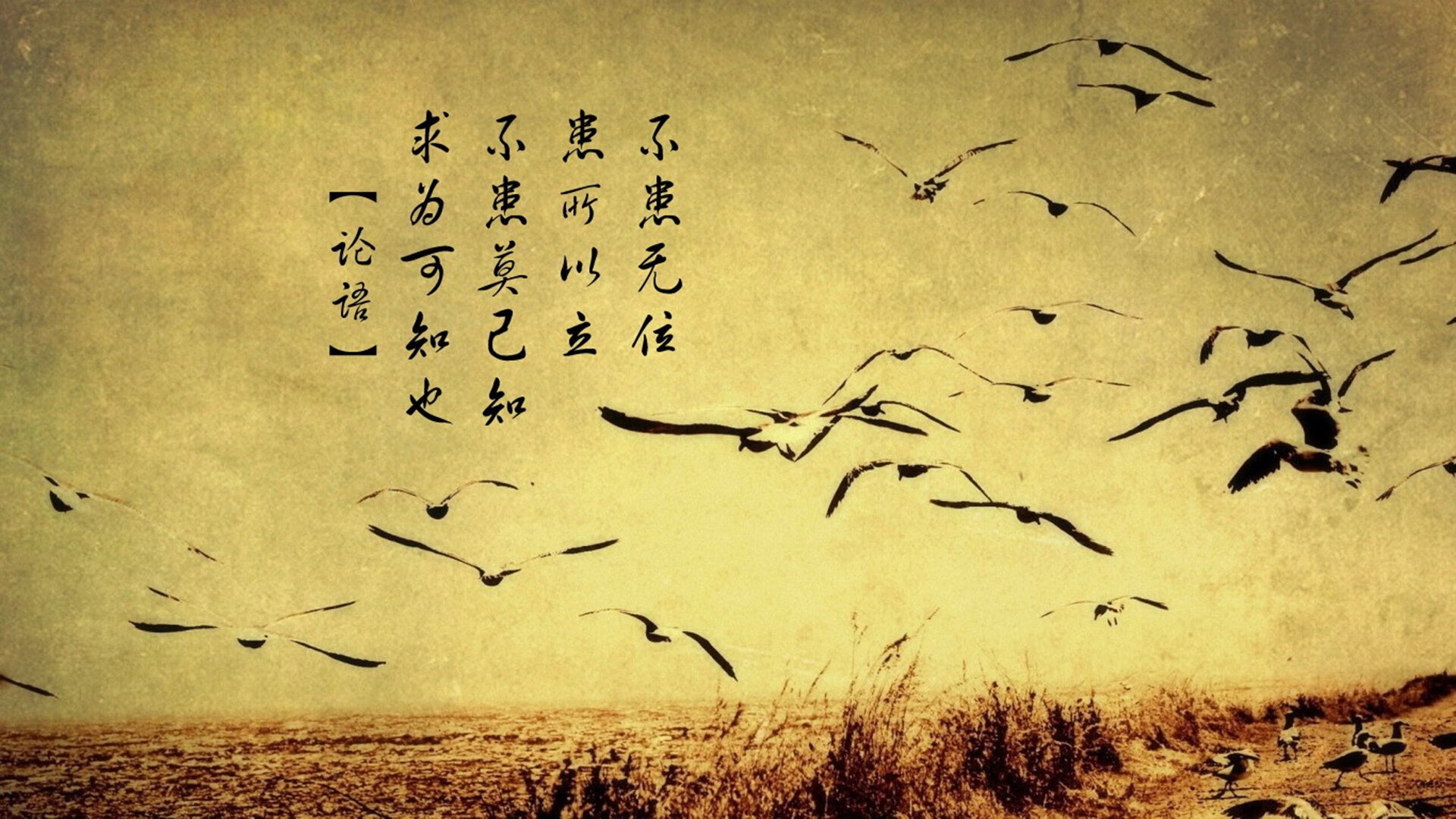 职业球员缺乏自我评估模型支撑成长,球员自我评价