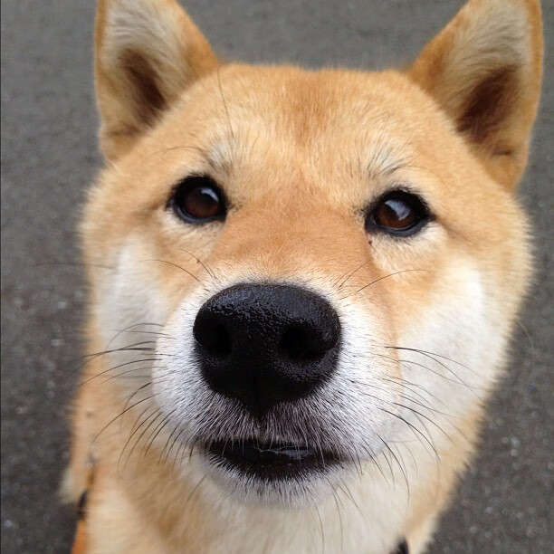 大型足球场馆夜间照明技术全新升级，室外足球场照明设计规范