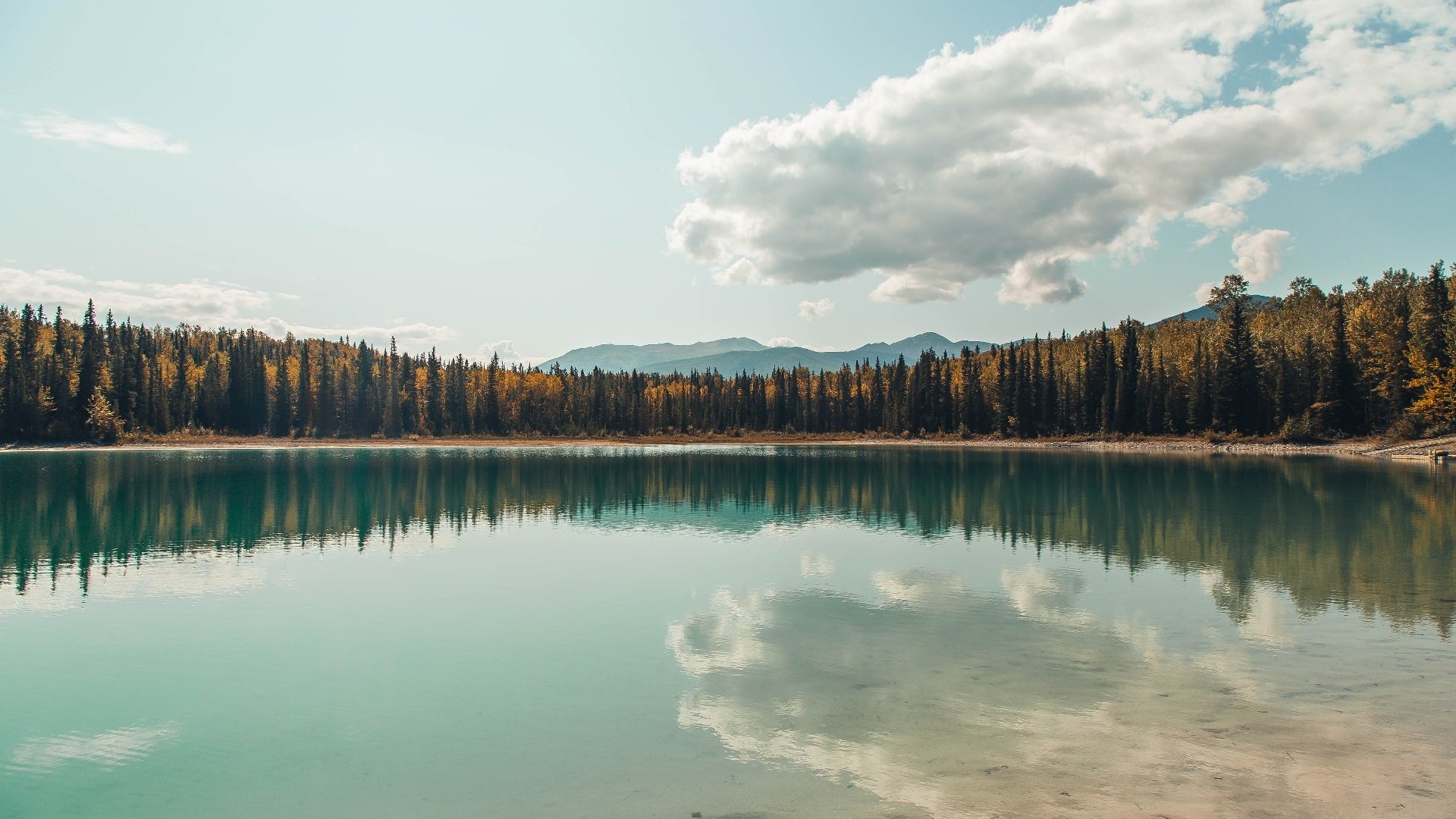 九游娱乐-张雨霏完成世锦赛报名全力以赴，张雨霏夺冠项目