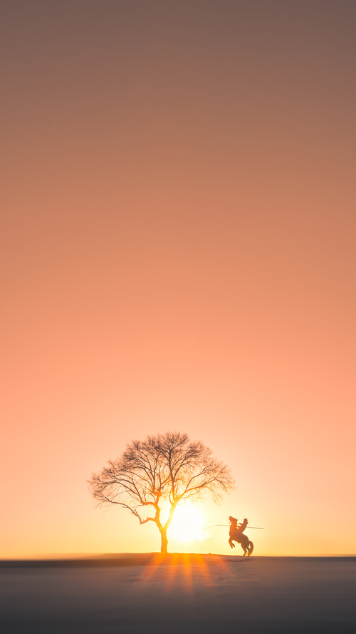 球迷通过社交平台分享观赛感受传递正能量与体育精神风貌，看球赛的感悟