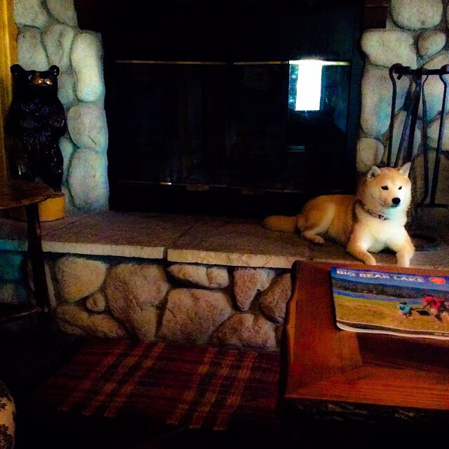 九游jiuyou-英超积分激烈角逐，冠军悬念渐趋明朗