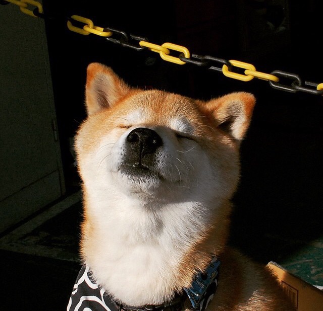 青少年篮球训练营引入国际先进训练理念和方法,青少年篮球培训的三要素